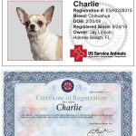 US Service Animals ESA Letter